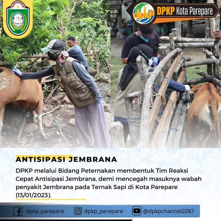 Dinas PKP Parepare Bentuk Tim Reaksi Cepat Antisipasi Jembrana
